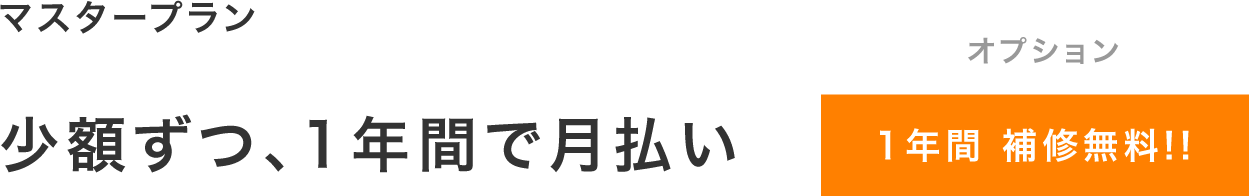 少額ずつ、1年間で月払い