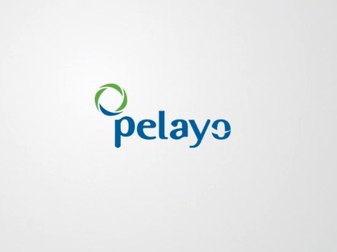 スペインの保険会社 Seguros Pelayo のCMがかわいい | 音楽はララトーン