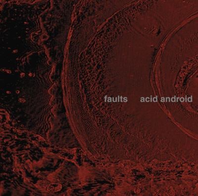 acid android「faults」 | ゴシック・ハードコアなのにスタイリッシュな1枚 (2003)
