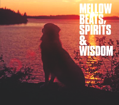 お洒落メロウHIPHOPコンピ『Mellow Beats, Spirits & Wisdom』(2008年作品)