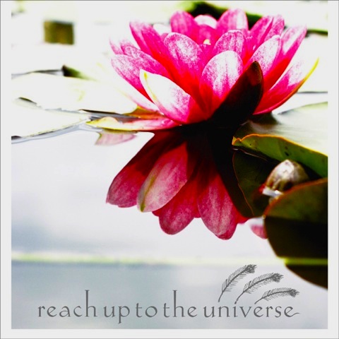 チェロが印象的な邦エモバンドreach up to the universe『EP』(2006年作品)