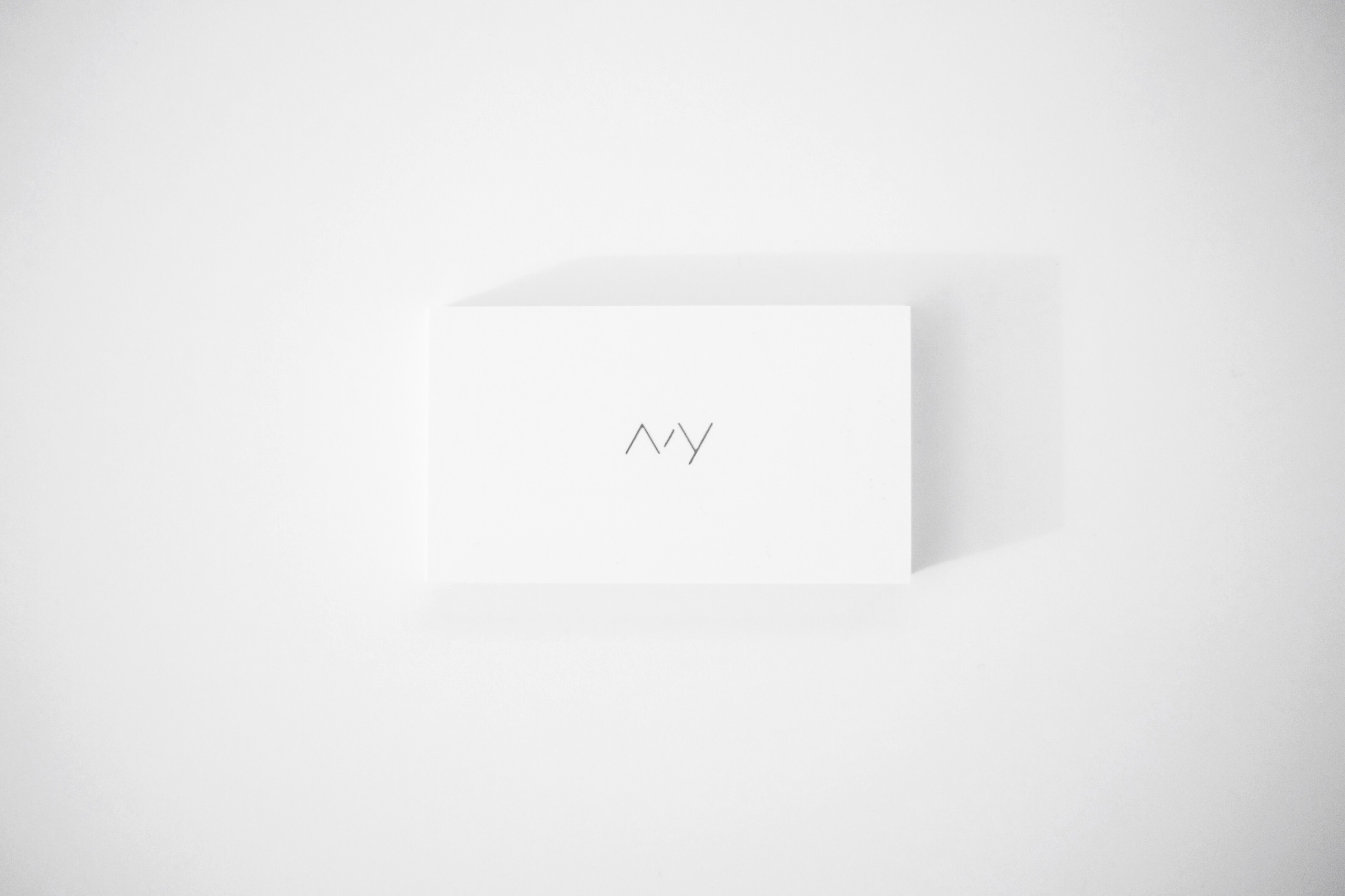 Manic Youth Inc. – Card 2014 – 2015
