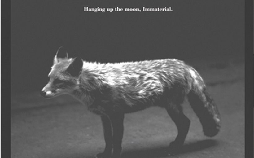 Hanging up the moon『Immaterial』(2015年作品)