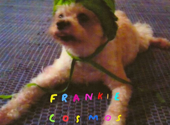 Frankie Cosmos - Zentropy (2014)
