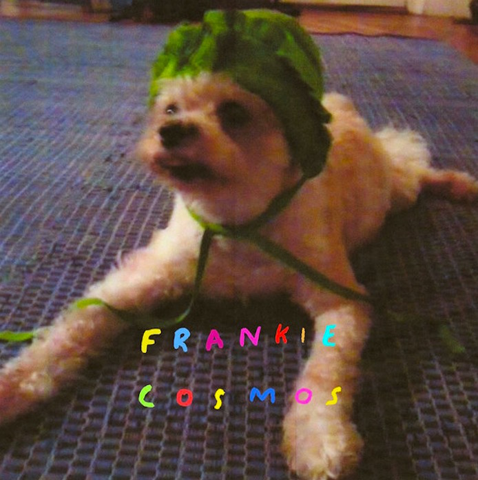 Frankie Cosmos - Zentropy (2014)